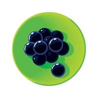 uvas en plato vector