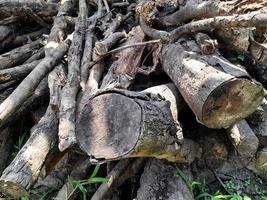 pile of wood pieces result of felling trees, can be used for kitchen fuel or building materials photo