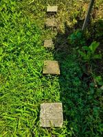 Rectangular paving stone pavement for walkways forms a path in the green grass of a park or garden, this paving stone pavement is made of molded cement. photo