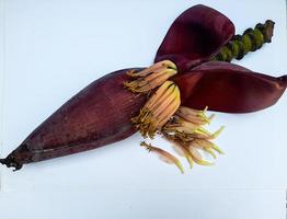 corazón de plátano o flor de árbol de plátano que es de color rojo oscuro ligeramente violáceo, rico en vitaminas y propiedades que son buenas para la salud, el corazón de plátano se puede procesar en platos deliciosos foto