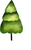 Green tree watercolor painted png