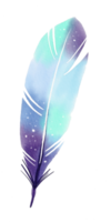 watercolor painted feather png