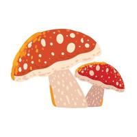 autumn mushroom nature vector