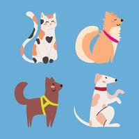 conjunto de mascotas vector