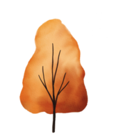 Watercolor autumn tree png