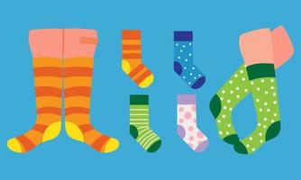 set legs and socks vector