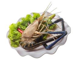 gambas de agua dulce en el plato y fondo blanco foto