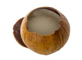 Coconut on white background photo