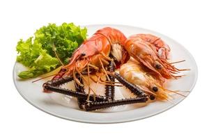 Giant Freshwater Prawn and king prawns on the plate and white background photo
