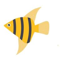 Angel fish yellow on a white background for web design vector