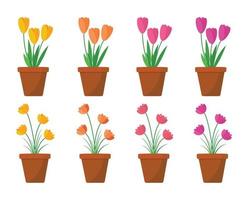 Flat lotus and tulip flower in pots animated vector illustration