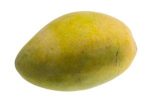 Ripe Mango on white background photo