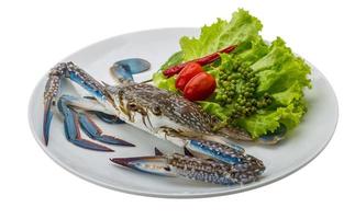 cangrejo azul crudo en el plato y fondo blanco foto