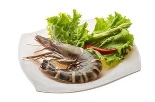 Tiger prawn on the plate and white background photo