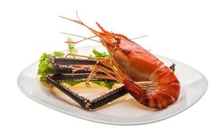 Giant Freshwater Prawn photo