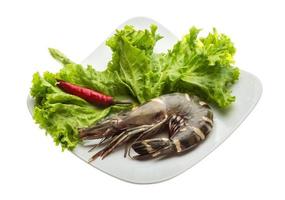 Tiger prawn on the plate and white background photo