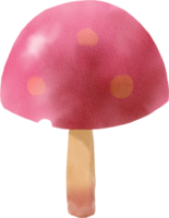 Watercolor colorful mushroom png