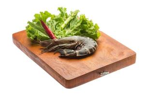 Tiger prawn on wooden board and white background photo