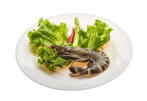 Tiger prawn on the plate and white background photo