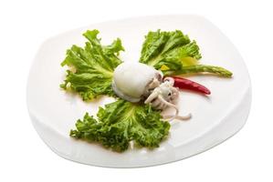 Boiled cuttlefish on the plate and white background photo