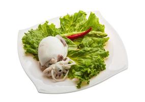 Boiled cuttlefish on the plate and white background photo