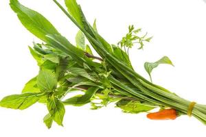 Asian herbs on white background photo