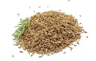 Caraway heap on white background photo