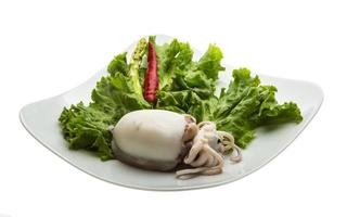 Boiled cuttlefish on the plate and white background photo