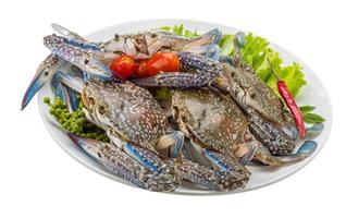 Raw blue crab on the plate and white background photo