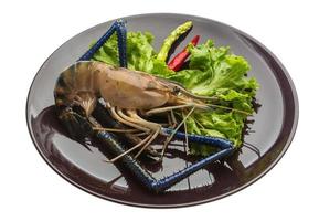 Freshwater prawn on the plate and white background photo