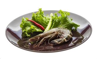 Tiger prawn on the plate and white background photo