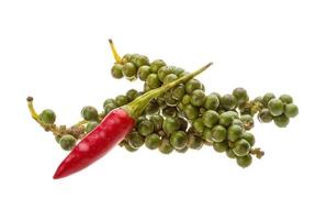 Kampot pepper on white background photo