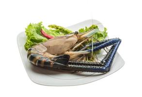 Freshwater prawn on the plate and white background photo