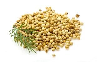 Coriander seeds on white background photo