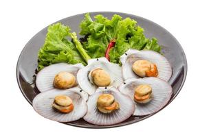 Grilled scallops on the plate and white background photo