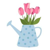 Group of pink tulips in blue watering can. Vector flat illustration. The spring theme of gardening with a bouquet of tulips. Isolated on white background.