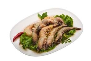 King Prawn on the plate and white background photo