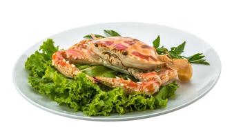 Boiled crab on the plate and white background photo