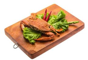 Boiled crab on wooden board and white background photo