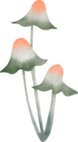 champignon coloré aquarelle png