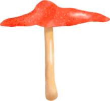 Watercolor colorful mushroom png