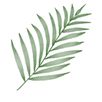 Leaf watercolor painted png