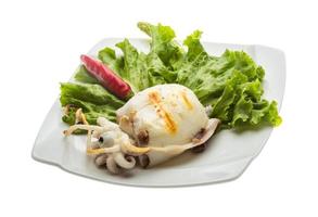 Grilled cuttlefish on the plate and white background photo