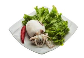 Boiled cuttlefish on the plate and white background photo