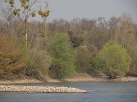 the river rhine near cologne in germany photo