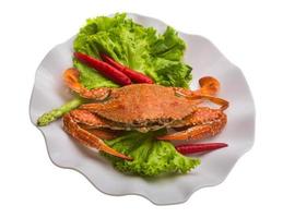 Boiled crab on the plate and white background photo