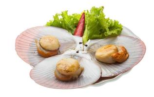 Grilled scallops on the plate and white background photo