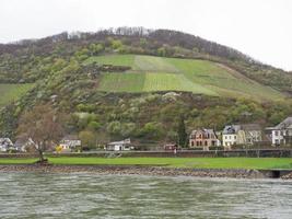hiking at the rhine river in germany photo