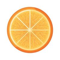 icono de media naranja vector