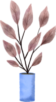 watercolor painted houseplant png